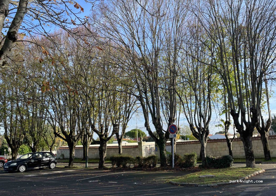 (17180) Périgny - Rue Saint-Cybard — foto 3