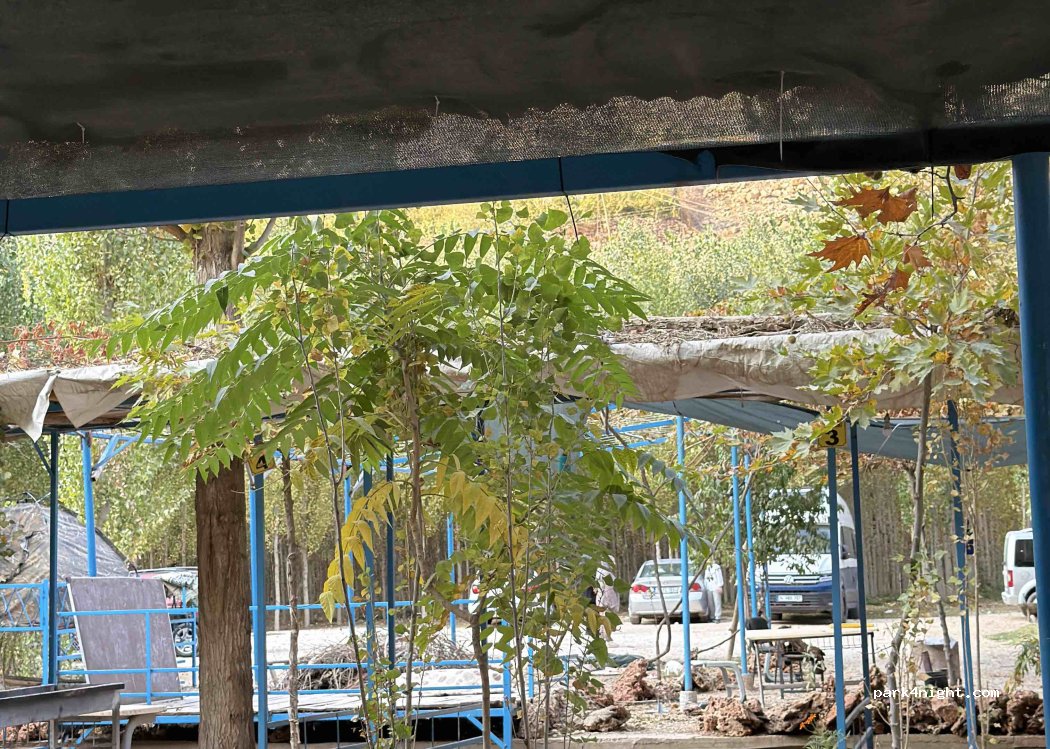 Beyazsu Vangölü Kamp&Aile Piknik Alanı — foto 2