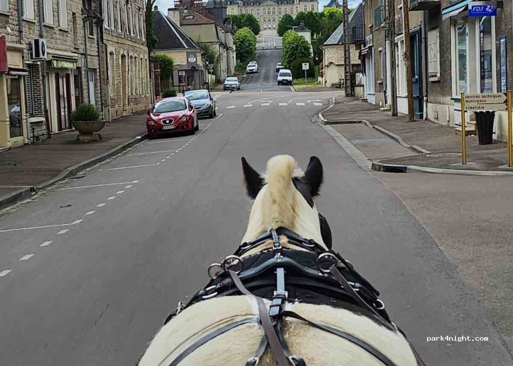 (10500) Brienne-le-Château - Avenue de Verdun — foto 3