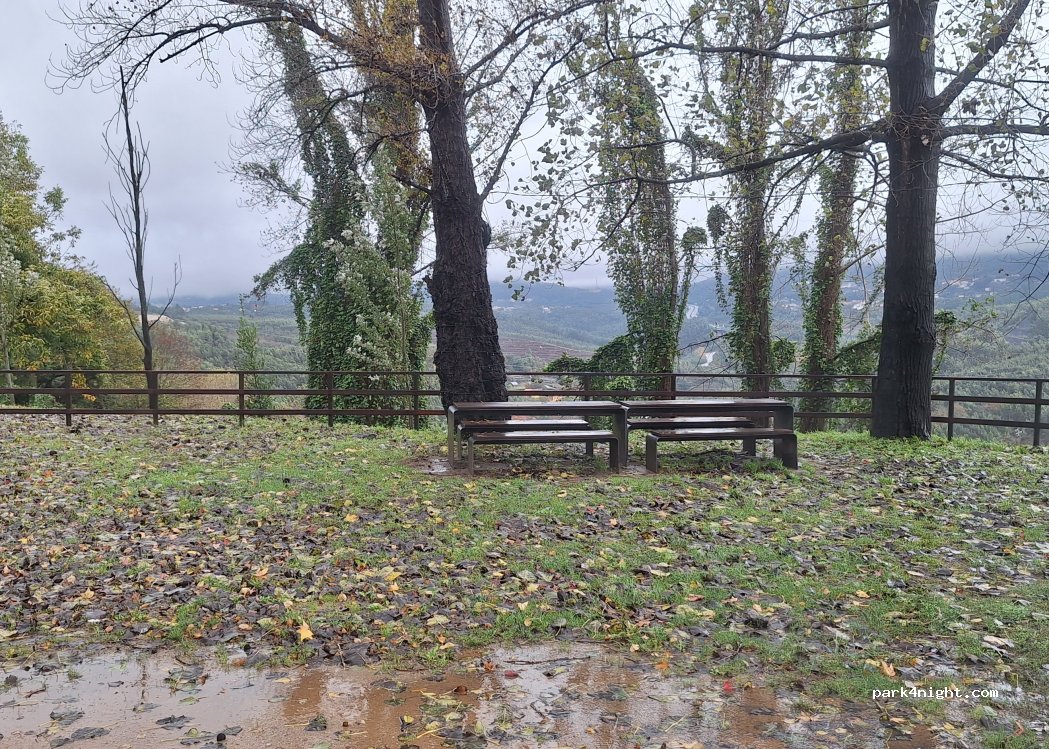 (3720-261) Oliveira de Azeméis - — foto