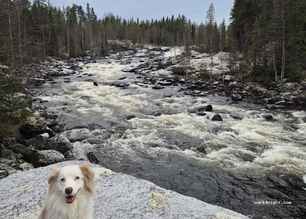 (883 94) Fjällsjö District - — foto 3
