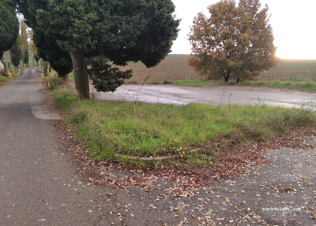 (50038) Barberino di Mugello - Bosco ai Frati — foto