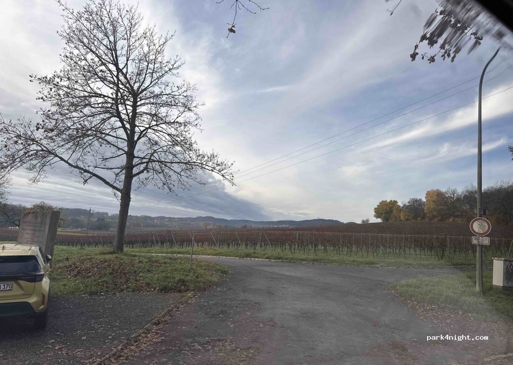 (76831) Heuchelheim-Klingen - Unnamed Road — foto 2