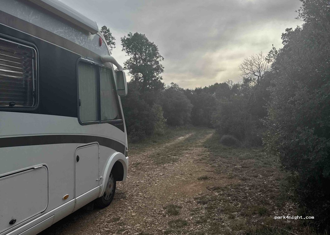 (08553) El Brull - Camí d'Aiguafreda al Brull — foto