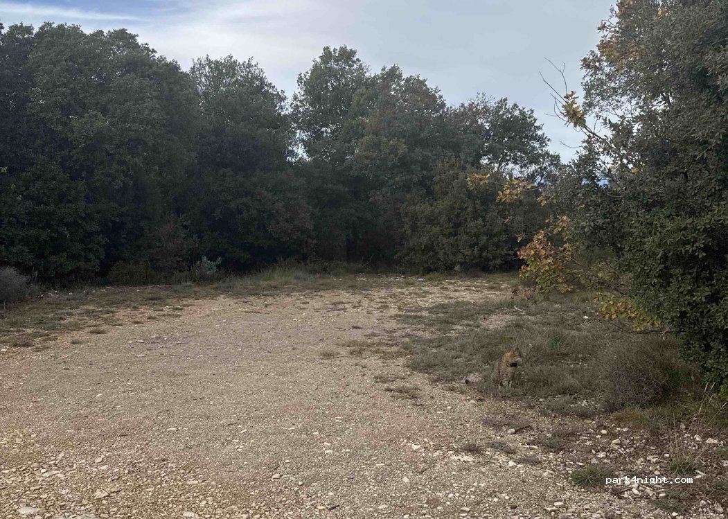 (08553) El Brull - Camí d'Aiguafreda al Brull — foto 2