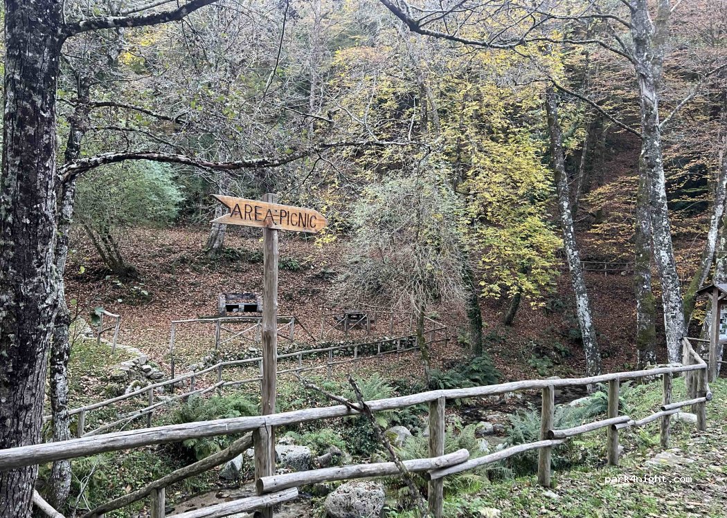 (89049) San Giovanni di Gerace - Percorso Naturalistico della Scialata — foto