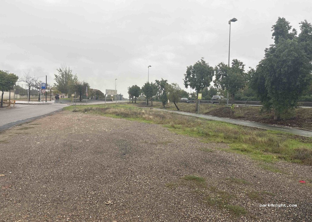 (14071) Cordova - carril-bici ctra Palma del Rio 1 — foto