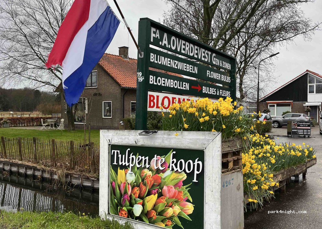(2242PC) Wassenaar - Katwijkseweg — foto