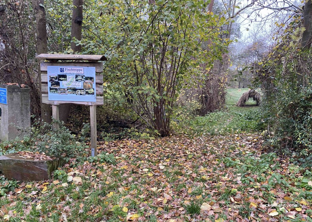 (04808) Wurzen - Naturlehrpfad — foto 2