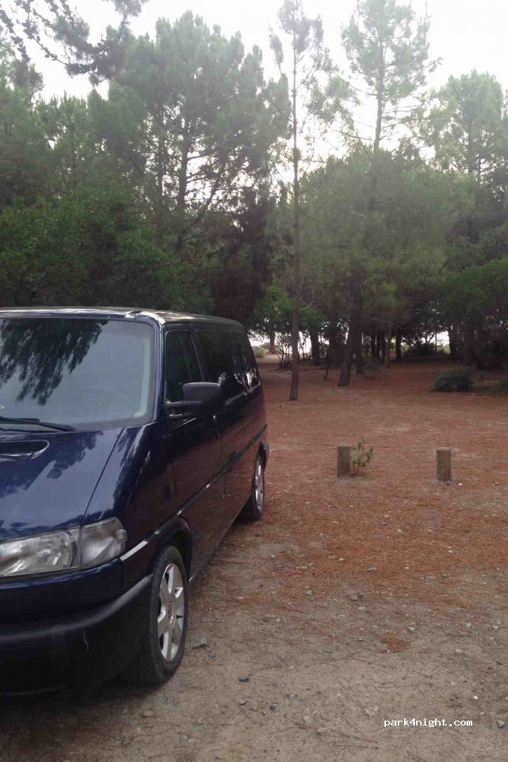 (20240) Ghisonaccia - Pinia — foto