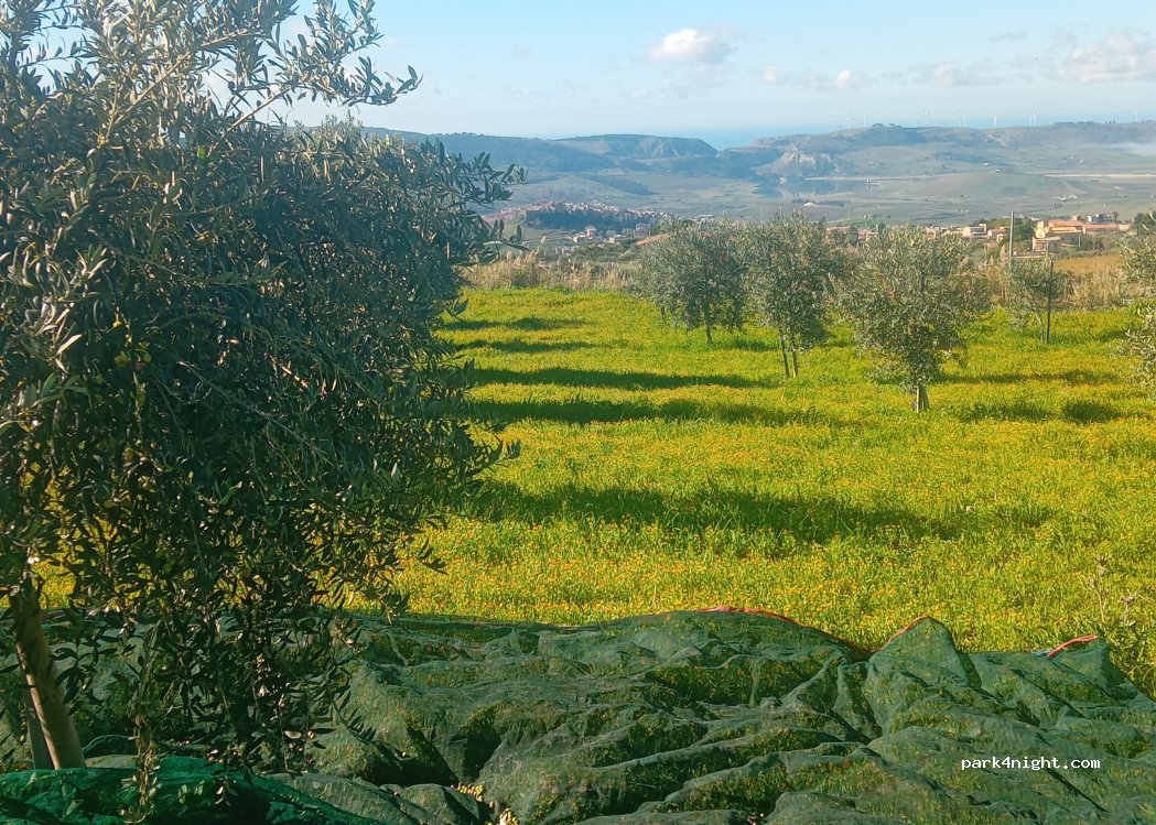 (92017) Sambuca di Sicilia - — foto
