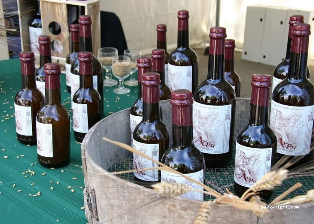 (92017) Sambuca di Sicilia - — foto 4