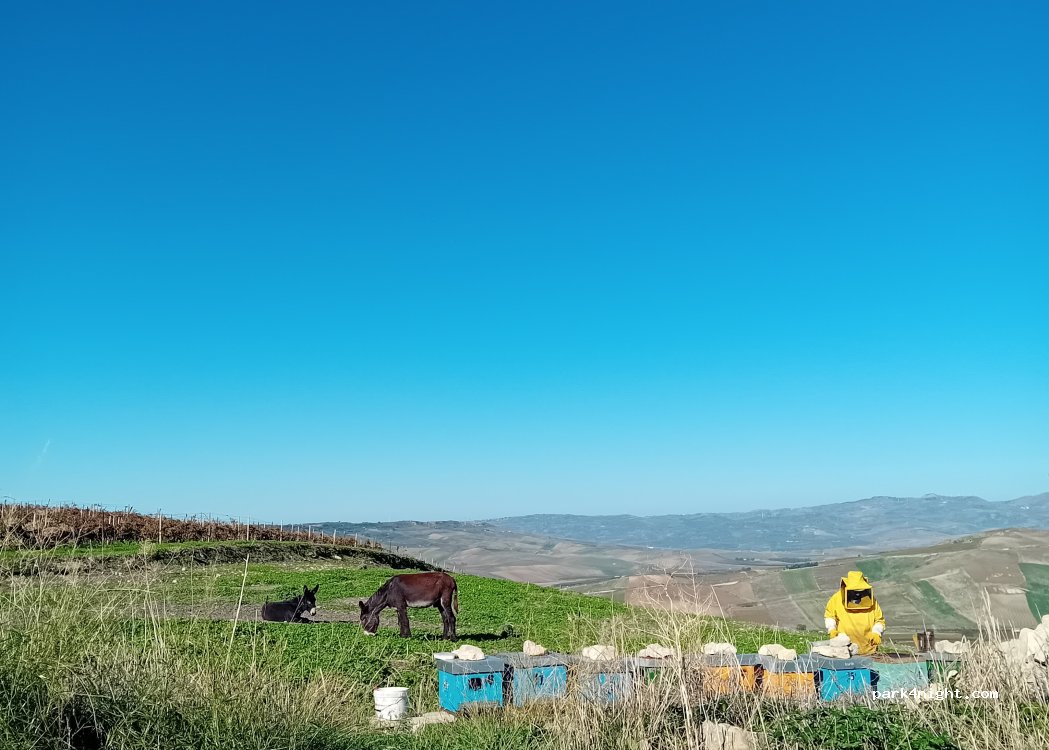 (92017) Sambuca di Sicilia - — foto 5
