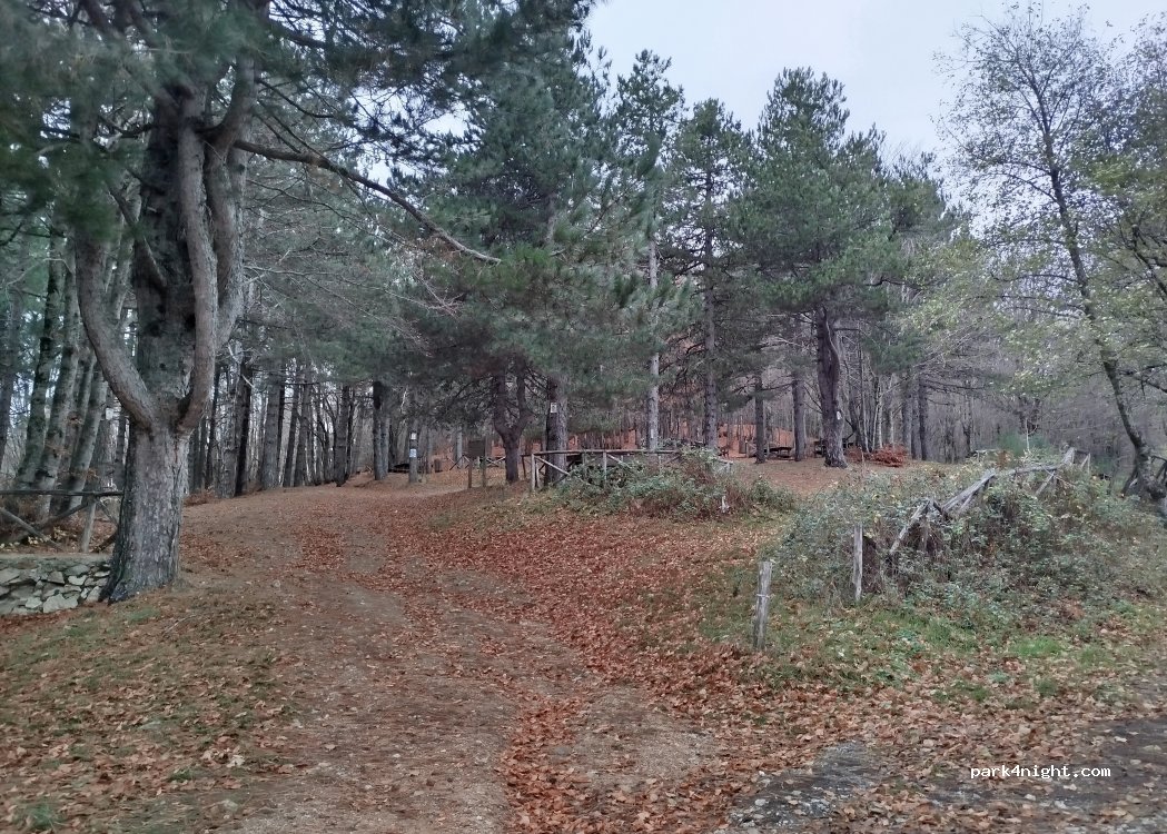 (87059) San Pietro in Guarano - Strada Provinciale 256 ex SS648 di Montescuro — foto 2