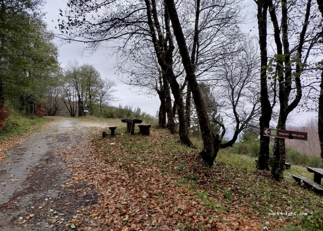 (87059) San Pietro in Guarano - Strada Provinciale 256 ex SS648 di Montescuro — foto 4