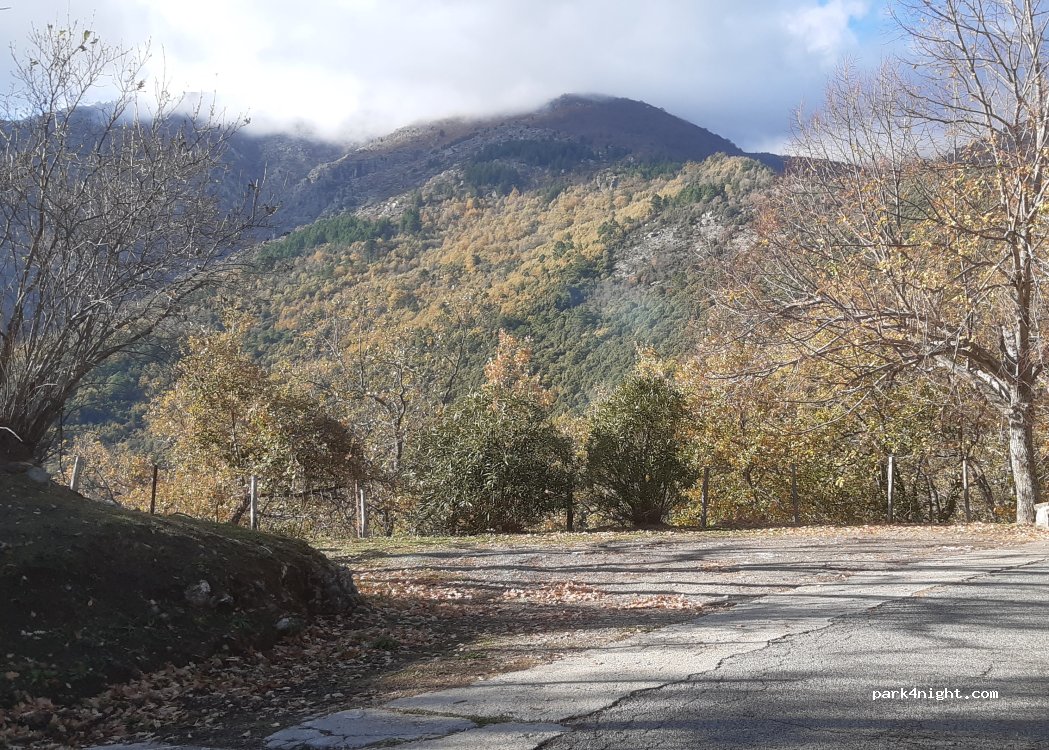 (20231) Santo-Pietro-di-Venaco - — foto