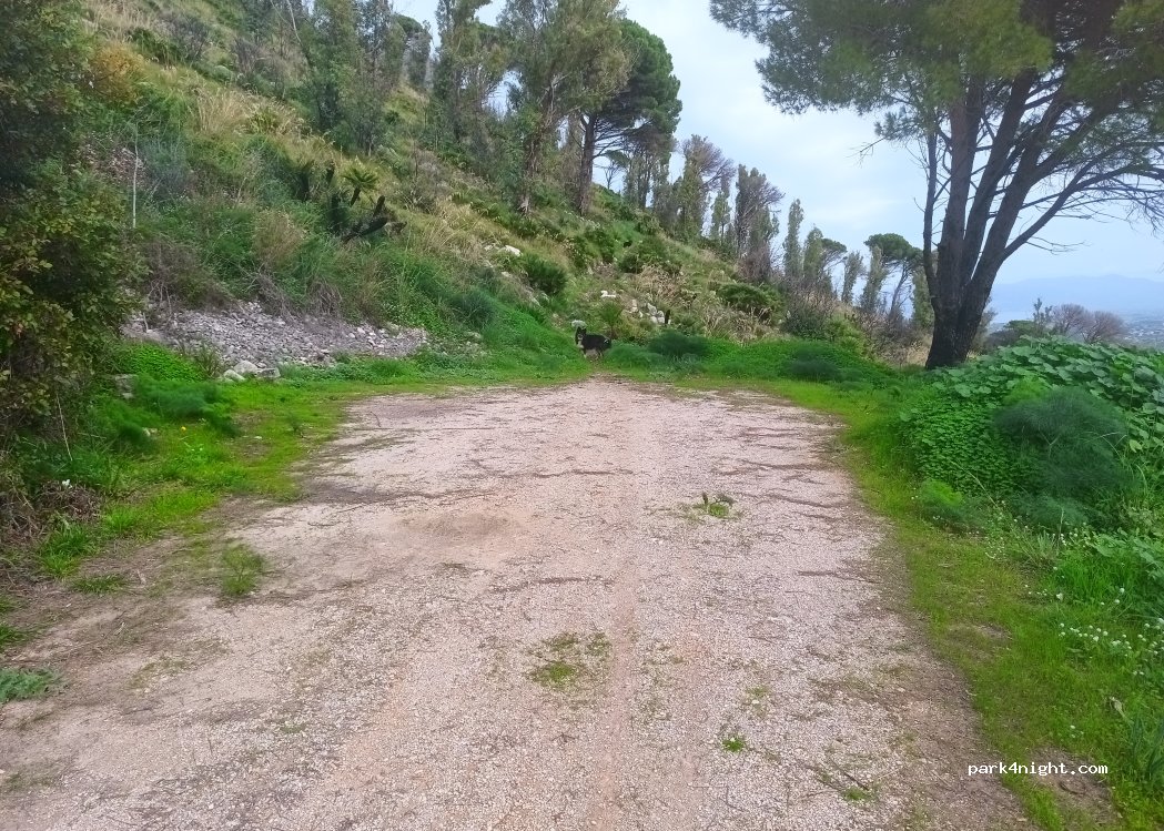 (91014) Castellammare del Golfo - Sentiero Vaccheria — foto