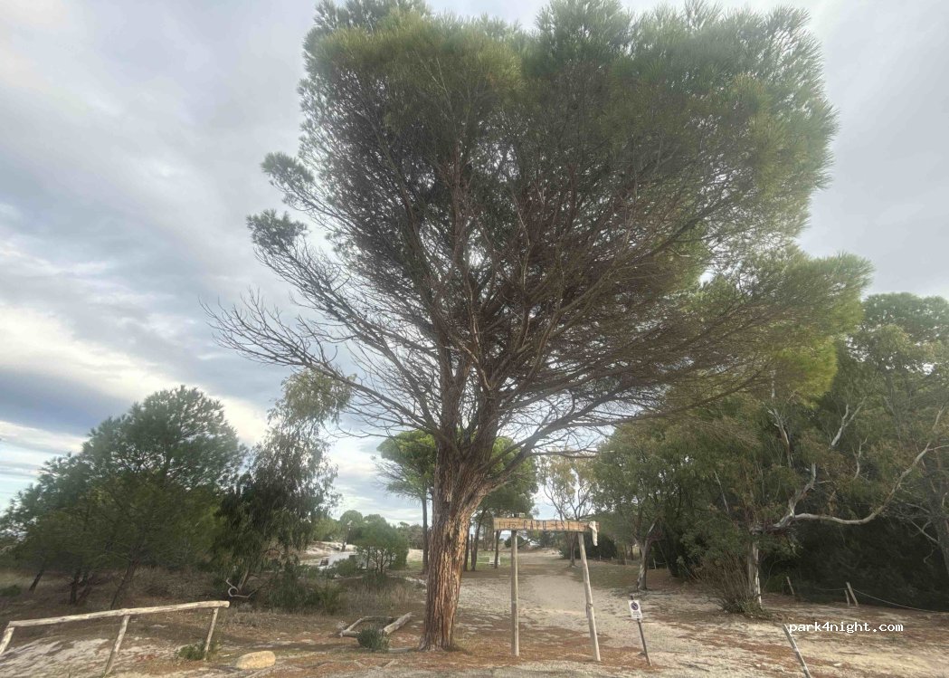 (08029) Thiniscole/Siniscola - Via del Mare — foto