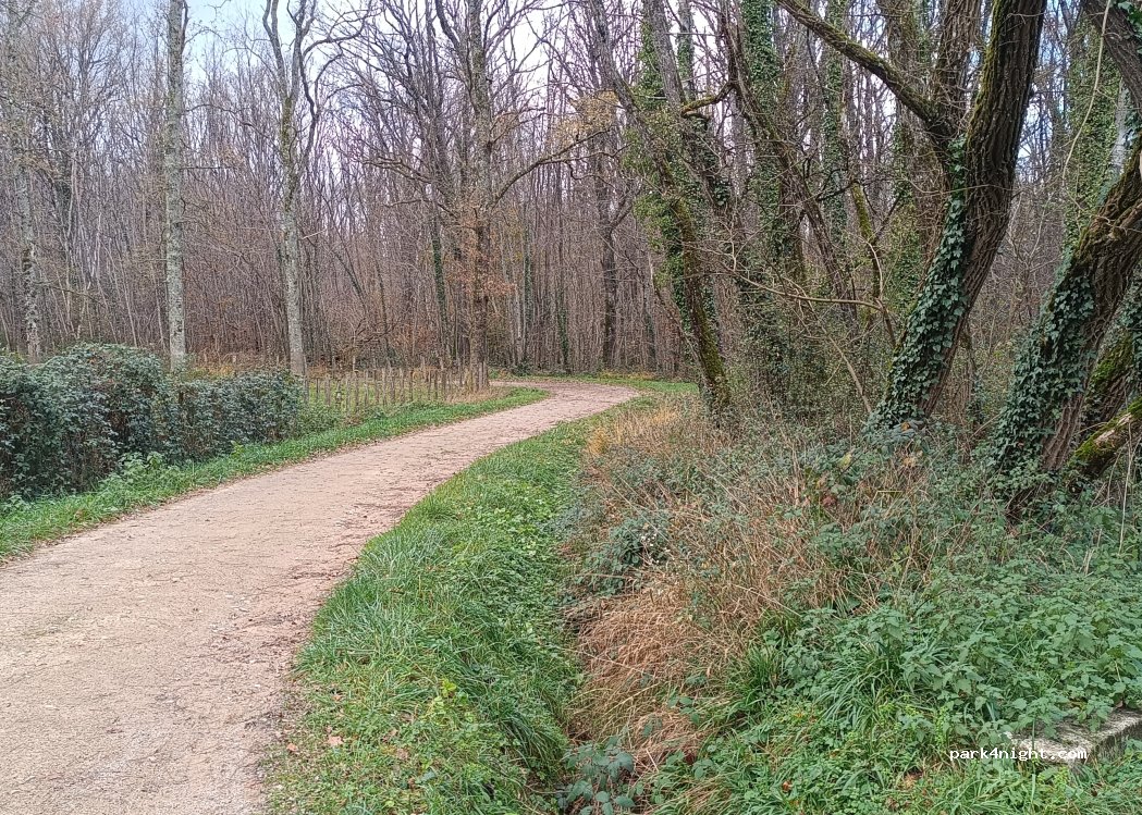 (71500) Louhans - Rue de Longemale — foto 3