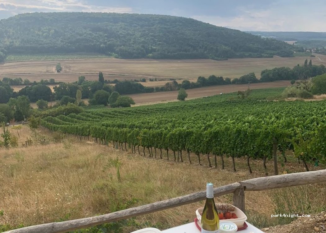 DOMAINE DE MONTMAIN — foto 4