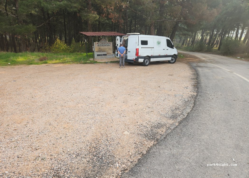 (10580) Karaçam - Balıkesir Savaştepe Yolu — foto