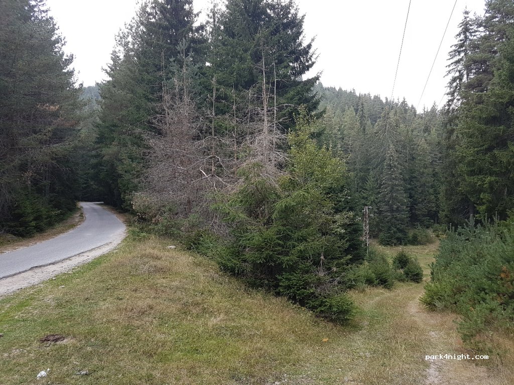(4831) Dospat - Unnamed Road — foto 2