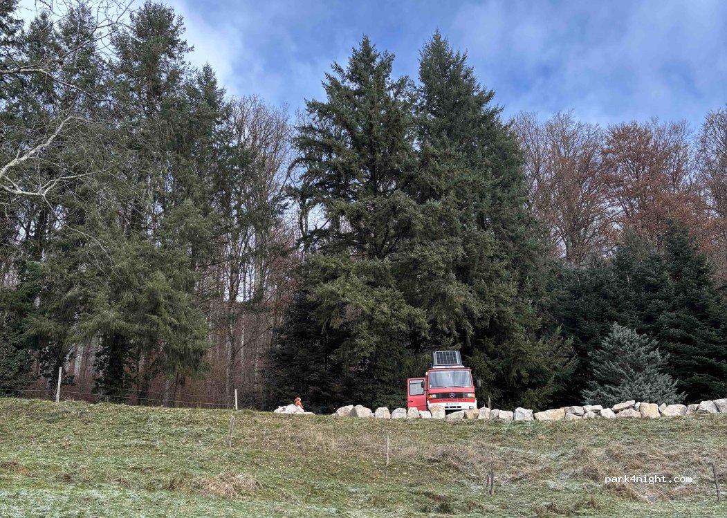 Ein besonderer Stellplatz im Südschwarzwald — foto 5