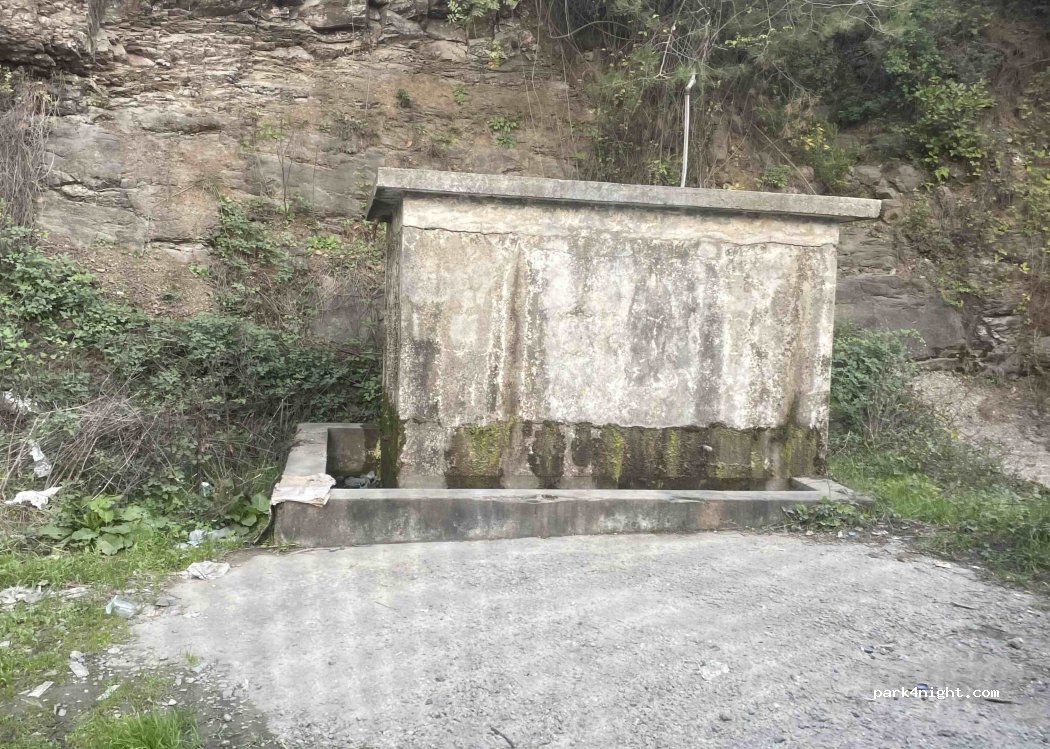 (67660) Muslu - 67-01 — foto