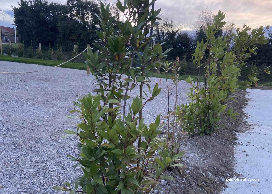 Área Camper Bezana Santander — foto 3