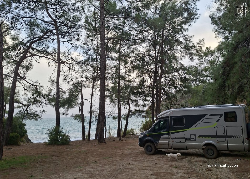 (48300) Yanıklar - — foto 3