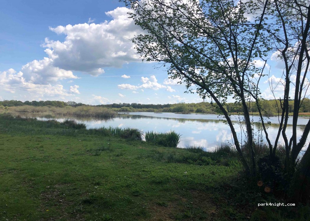 (44110) Saint-Aubin-des-Châteaux - La Courbetière — foto 2