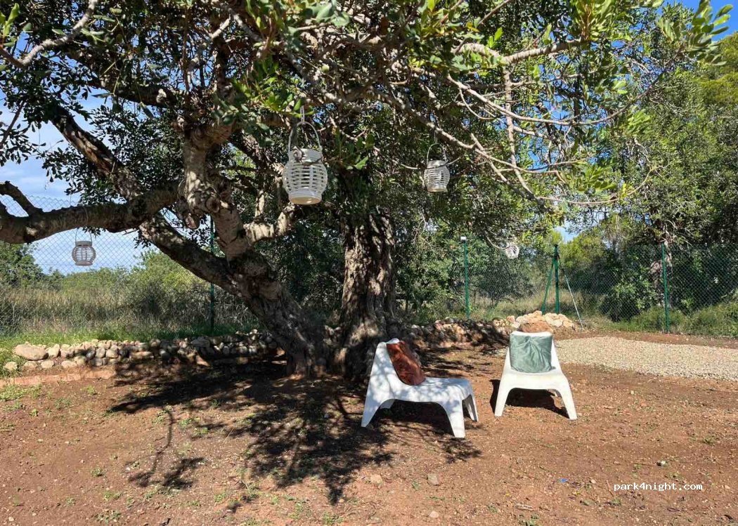 (43300) Mont-roig del Camp - partida poblas 28 — foto