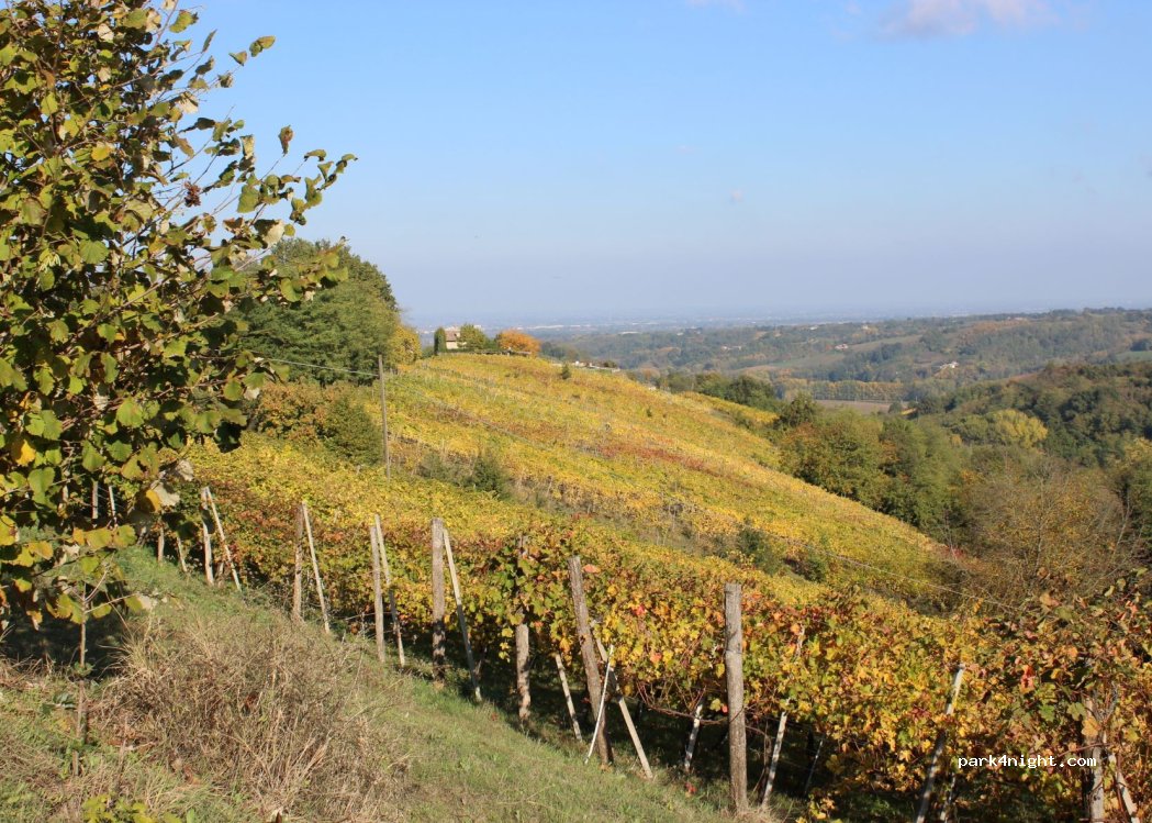 Azienda Vitivinicola Saccomani — foto 2