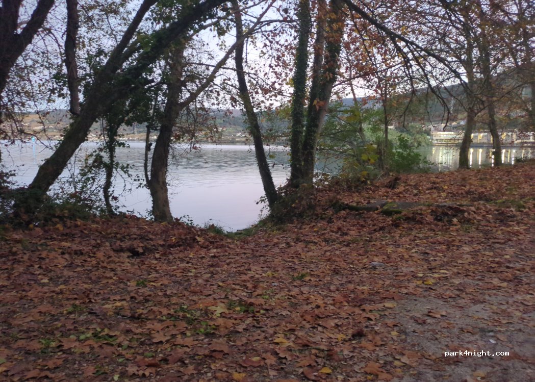 (32418) Ribadavia - OU-403 — foto