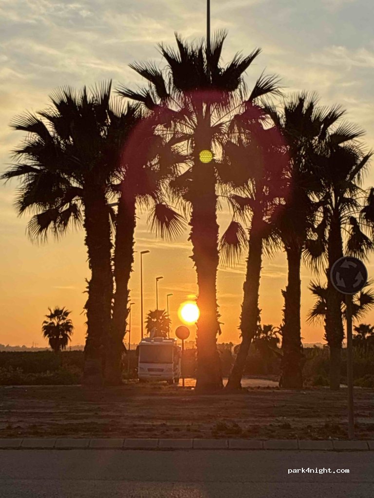 (03170) Guardamar del Segura - Avinguda L'Herbassana — foto 3
