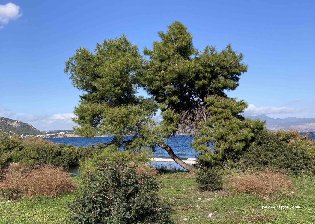 (20100) Municipal Unit of Saronikos - — foto 2