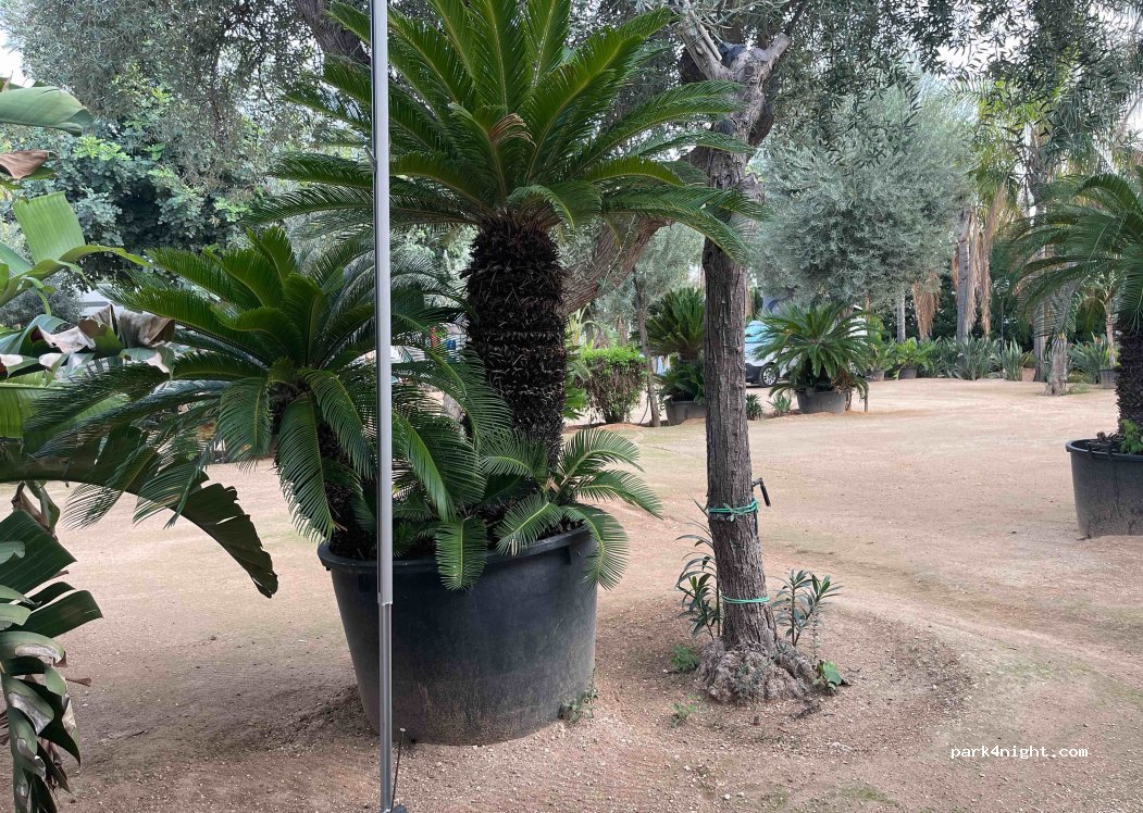 Campeggio Sabbiadoro — foto 5