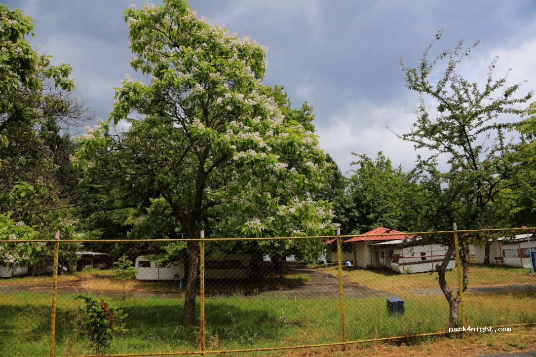 Camping Livadista — foto 2