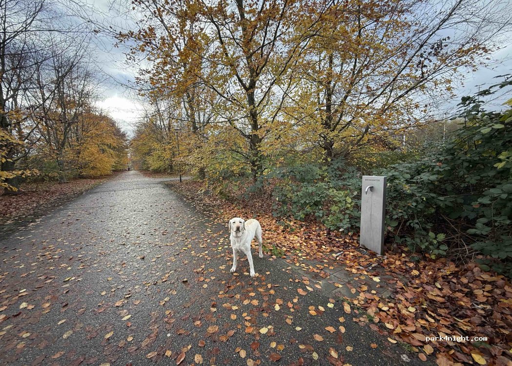 (3132) Vlaardingen - Surfpad — foto