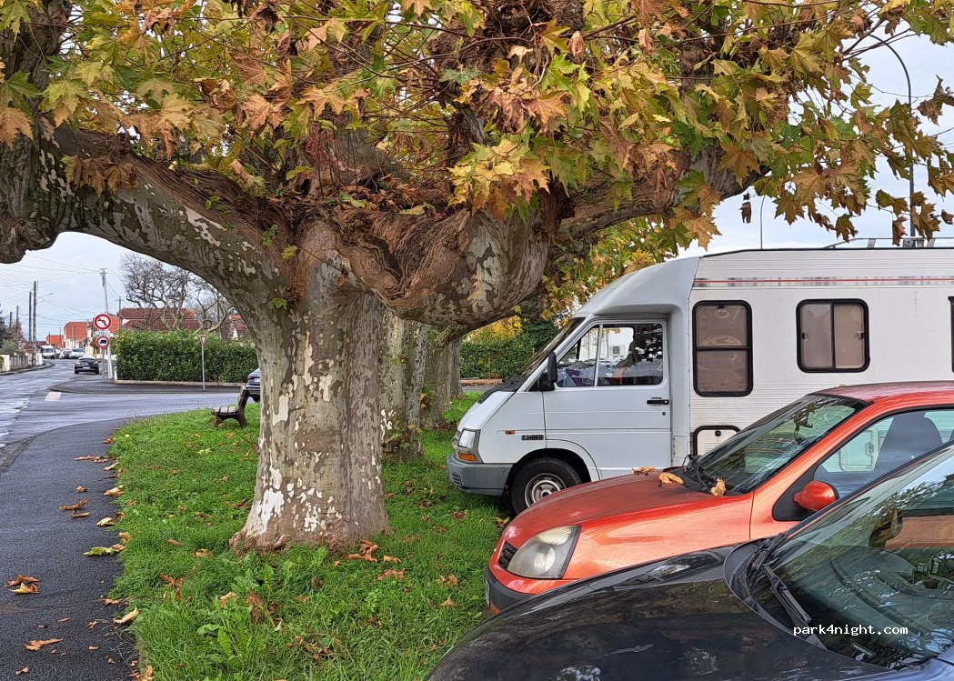 (64400) Oloron-Sainte-Marie - Avenue du 14 Juillet — foto 2