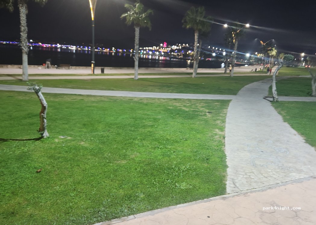 (35800) Kazım Dirik Mahallesi - 267 Sokak — foto