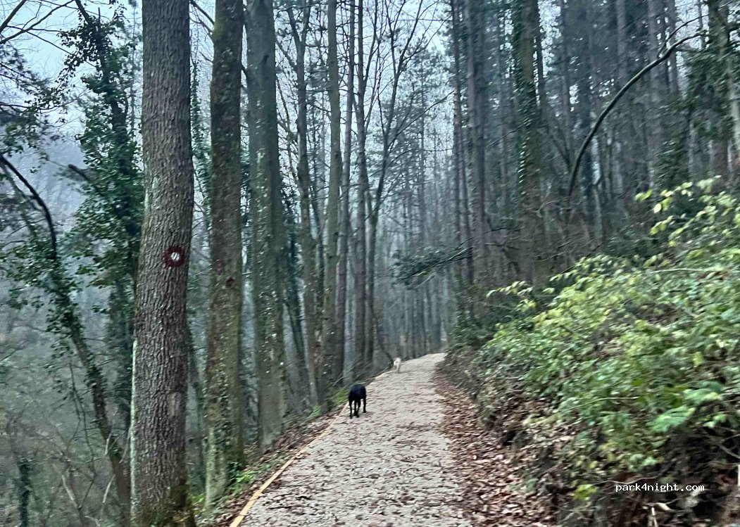(51000) Banja Luka - Put banjalučkog odreda — foto 2
