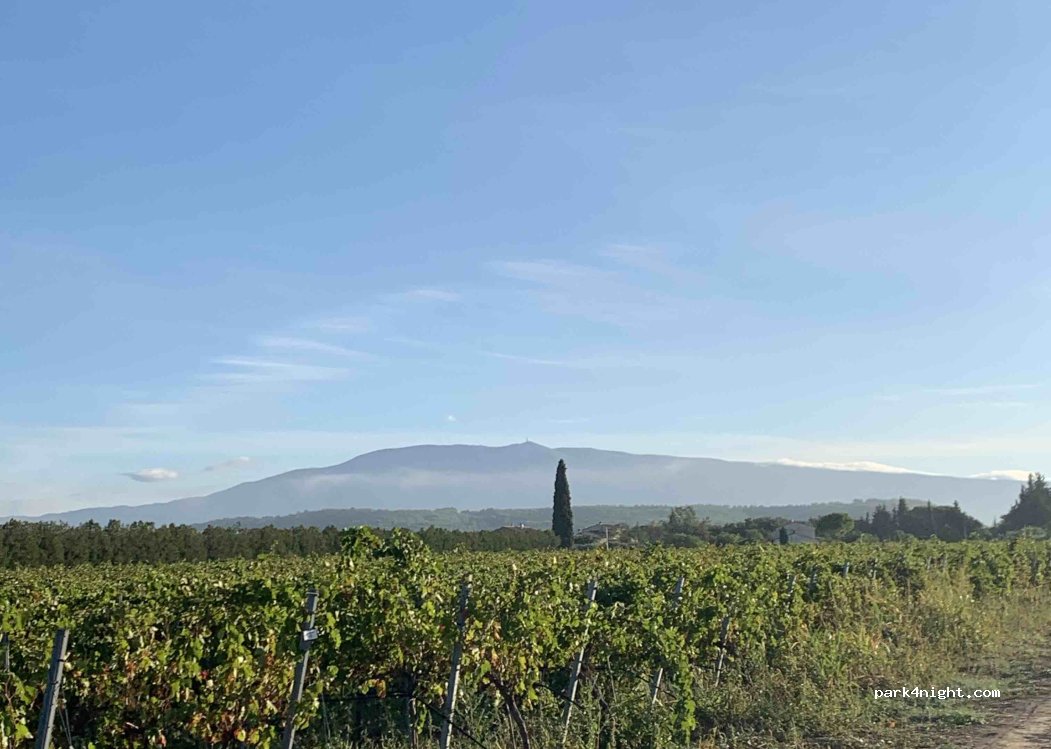 Domaine de la Camarette — foto 2