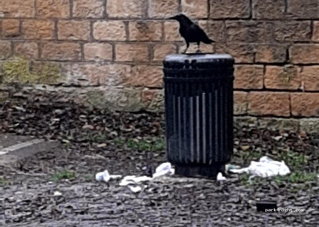 (57070) Metz - 79 Allée Jean Burger — foto