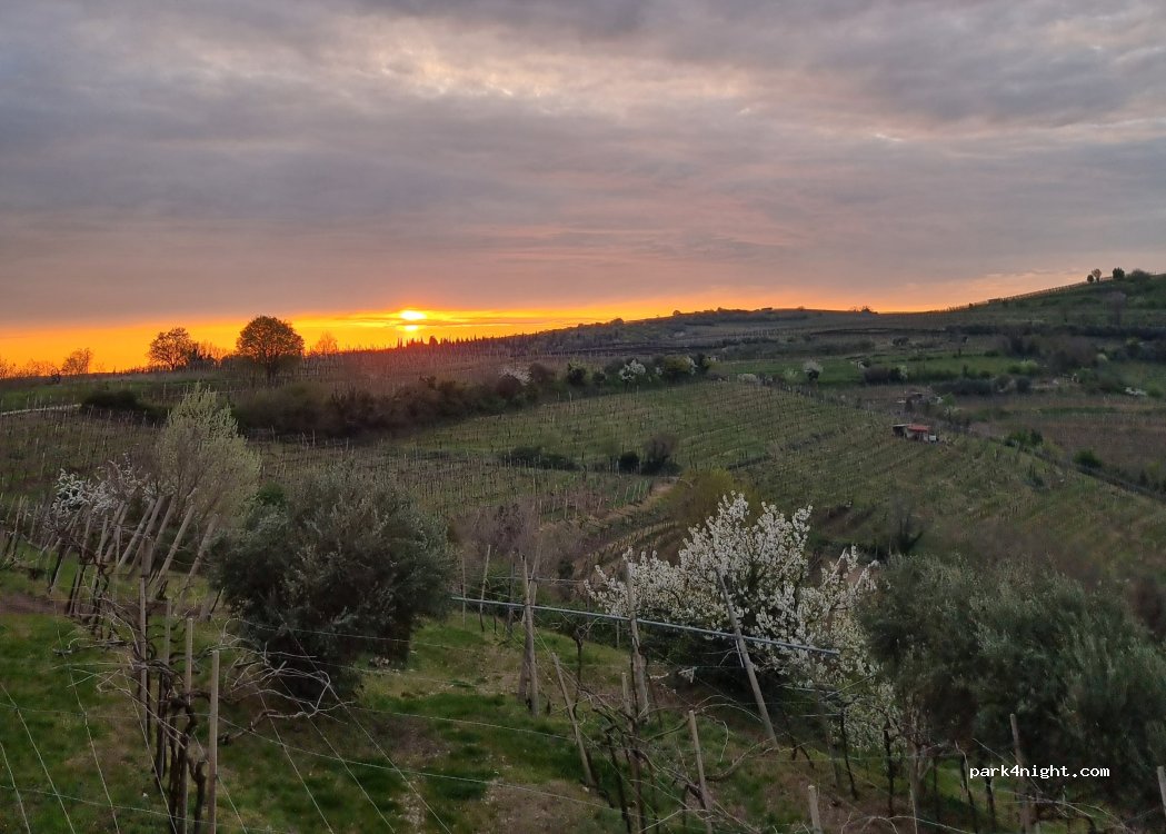 (37047) Monteforte d'Alpone - Giro dei 10 Capitelli — foto 2