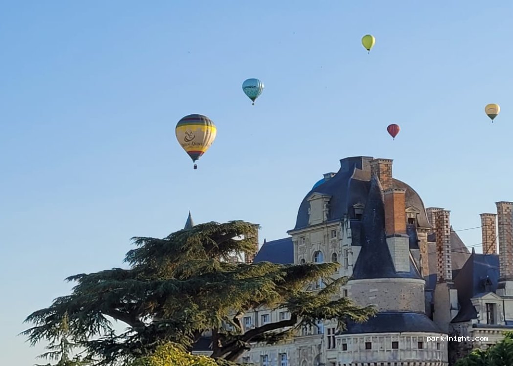 (49320) Brissac-Loire-Aubance - Rando des Cabanes de Vignes — foto 4