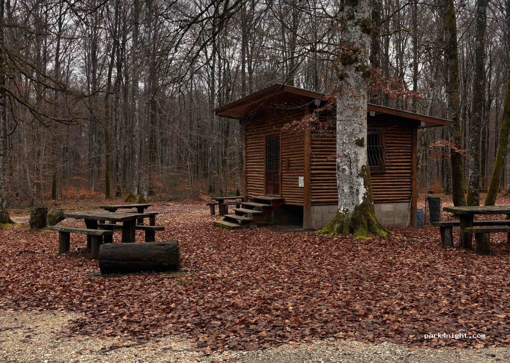 (25430) Vellevans - — foto 2