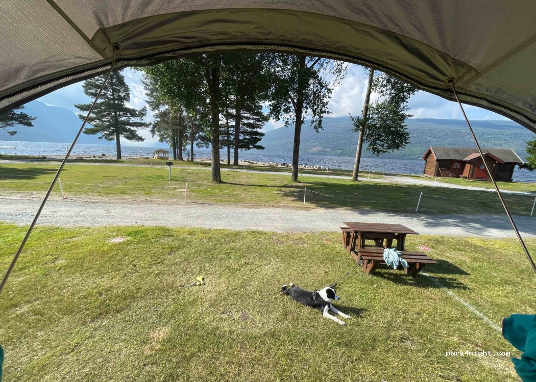 Sandviken Camping — foto 4