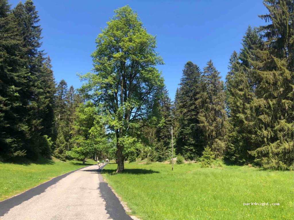 (2877) Le Bémont - 96A Les Royes — foto 3
