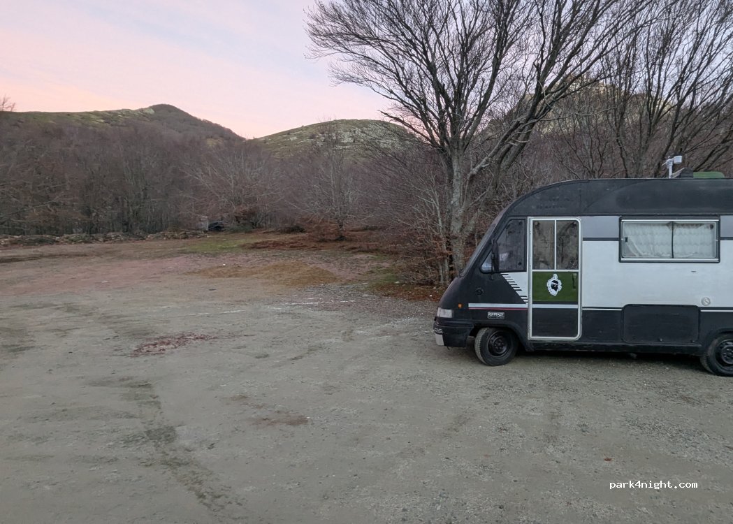(20219) Vivario - T 20 — foto
